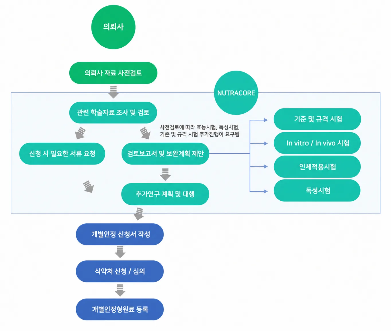 개별인정형 원료 인허가 컨설팅 PROCESS 다이어그램